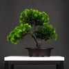 Artificial Bonsai Tree , faux bonsai tree , Artificial Bonsai Plant , Artificial Plants